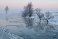 060_Biebrza - marzec 2013